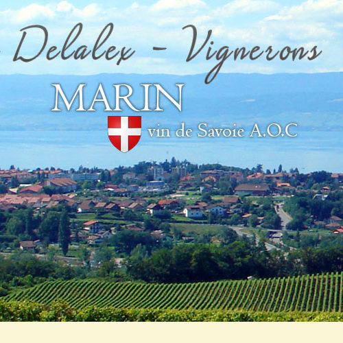 cropped-cropped-delalex-vin.jpg