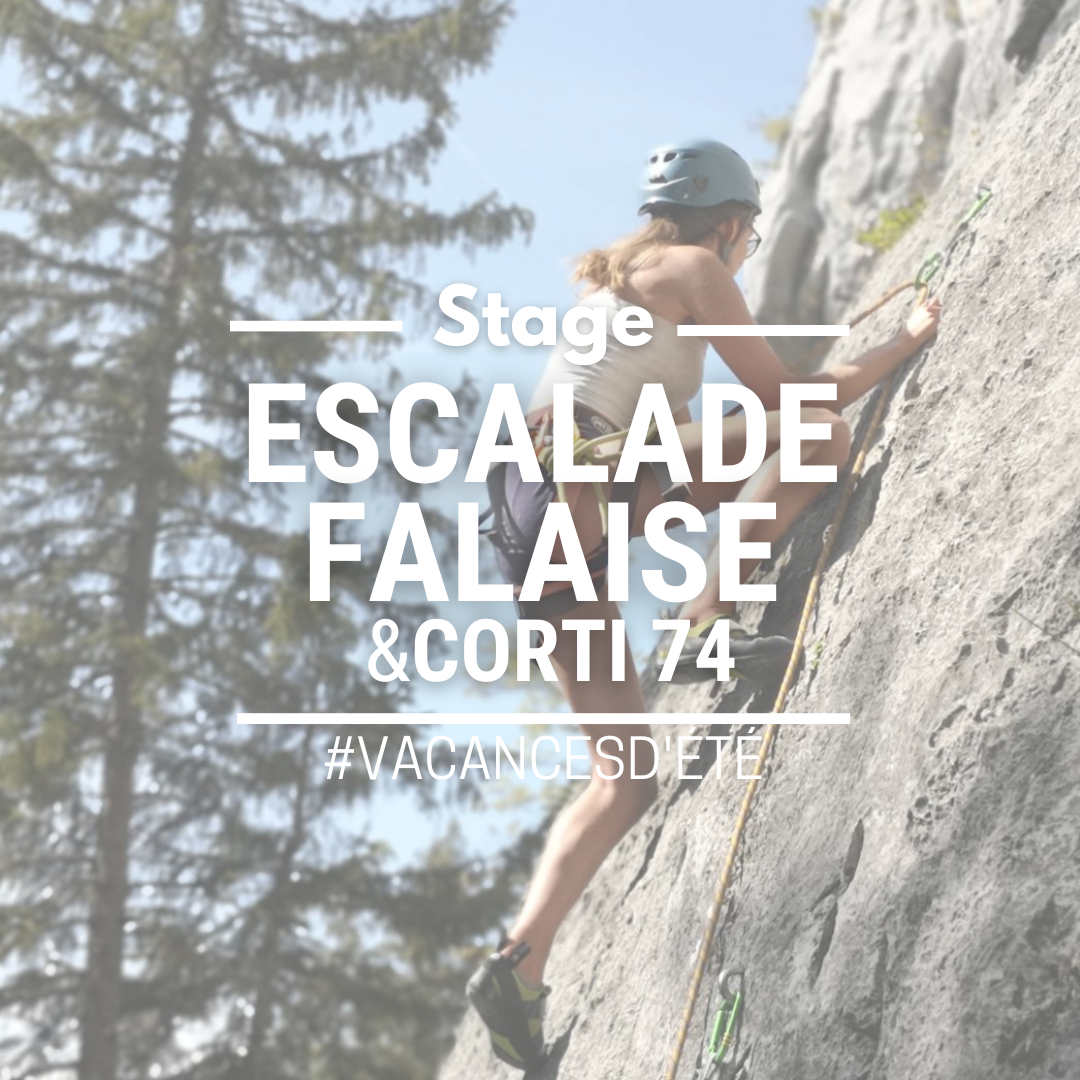 INSTAGRAM moniteurs du corti